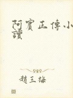 阿宾正传小说在读
