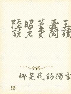 陆昭菱晋王的小说免费阅读