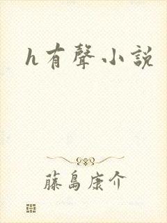 h有声小说