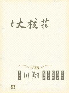 t大校花