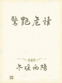 惊艳危情封面
