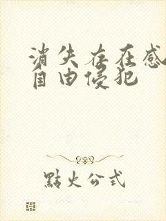 消失存在感消失自由侵犯封面