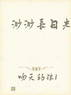 渺渺长日光阴