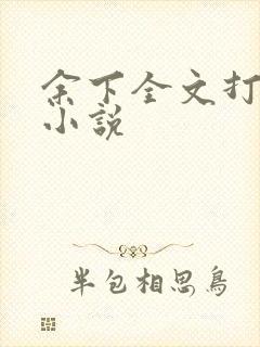 余下全文打不开小说