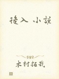 后入 小说