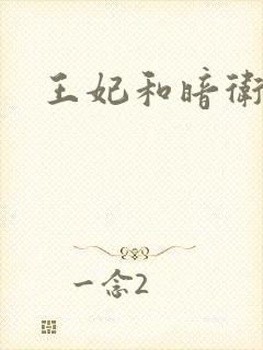 王妃和暗卫野H