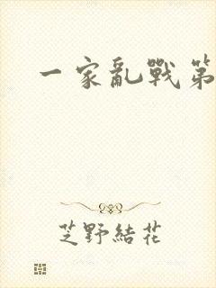 一家乱战第5部封面