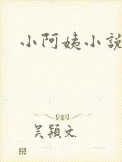 小阿姨小说