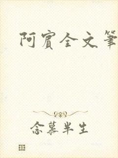 阿宾全文笔趣阁