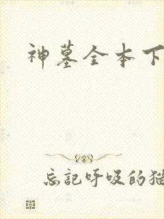 书籍封面