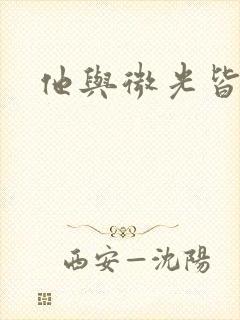 他与微光皆倾城封面