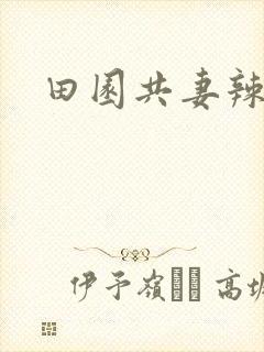 田园共妻辣