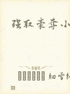 强取豪夺小说
