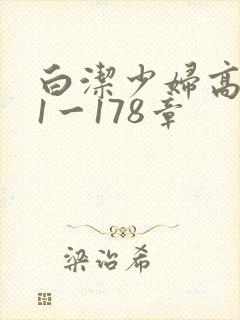 白洁少妇高义第1一178章封面