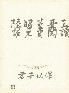 陆昭菱晋王的小说免费阅读