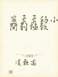 宁柔柔的小泬撑开到极致