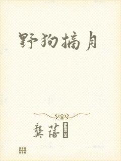 野狗摘月封面