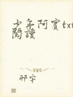 少年阿宾txt阅读