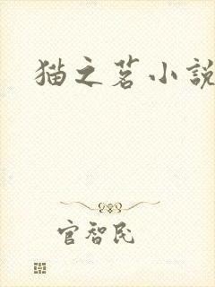 猫之茗小说