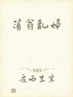 荡翁乱妇封面