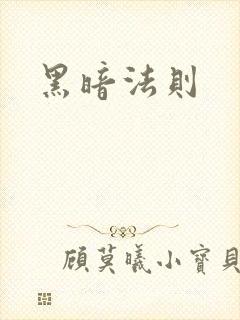 黑暗法则封面