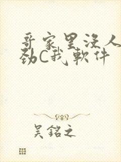哥家里没人使点劲C我软件