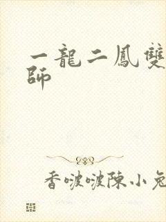 一龙二凤双飞老师