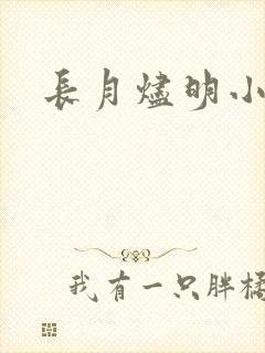 长月烬明小说