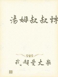汤姆叔叔转接口