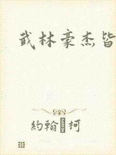 武林豪杰皆我奴封面