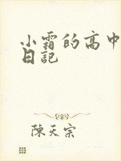 小霜的高中成长日记