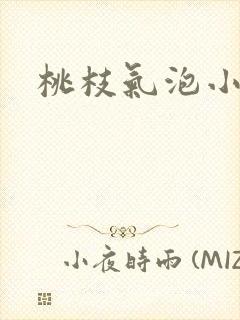 桃枝气泡小说