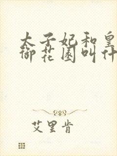 太子妃和皇帝在御花园叫什么小说