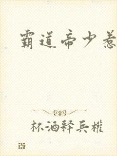 霸道帝少惹不得
