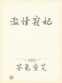 滥情宠妃封面