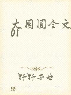 大团圆全文阅读01