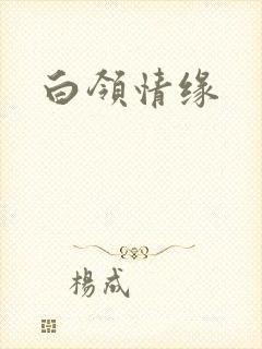 白领情缘