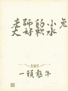 老师的小兔子好大好软水