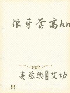 狼牙套高hnp