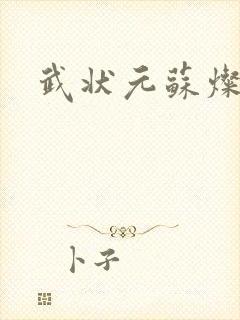 武状元苏灿封面