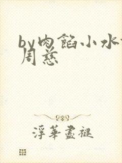 by肉馅小水饺周慈封面