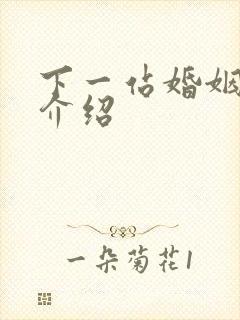 下一站婚姻剧情介绍