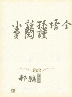 小说孙倩全文免费阅读