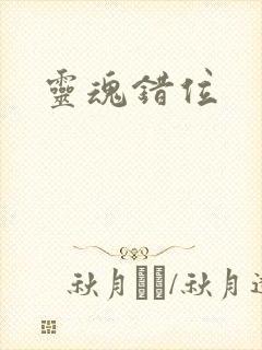 灵魂错位封面