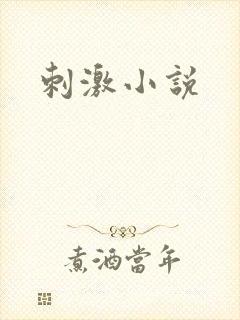 刺激小说