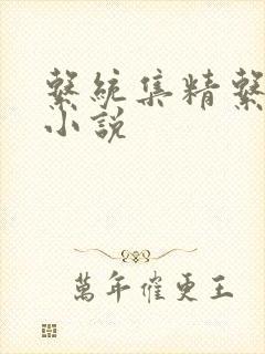 系统集精系统 小说