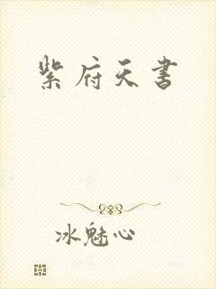 紫府天书