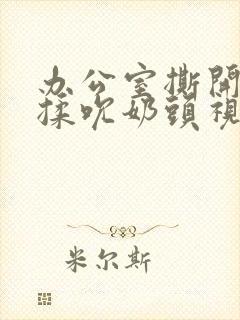 办公室撕开奶罩揉吮奶头视频