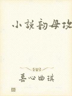 小说韵母攻略