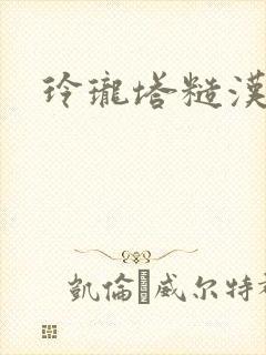 玲珑塔糙汉租客